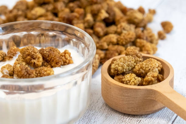 قیمت  با کیفیت ارزان توت سفید خشک غنی + خرید عمده